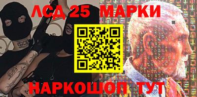 прущие грибы Новодвинск