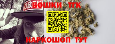 прущие грибы Новодвинск